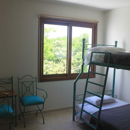 Martika Luxury Villa Agia Marina  外观 照片