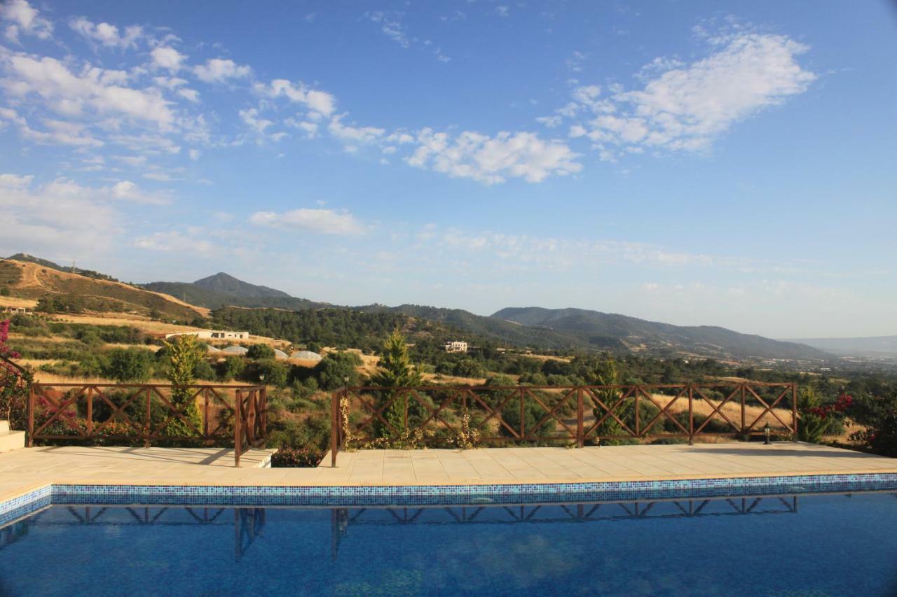 Martika Luxury Villa Agia Marina  外观 照片