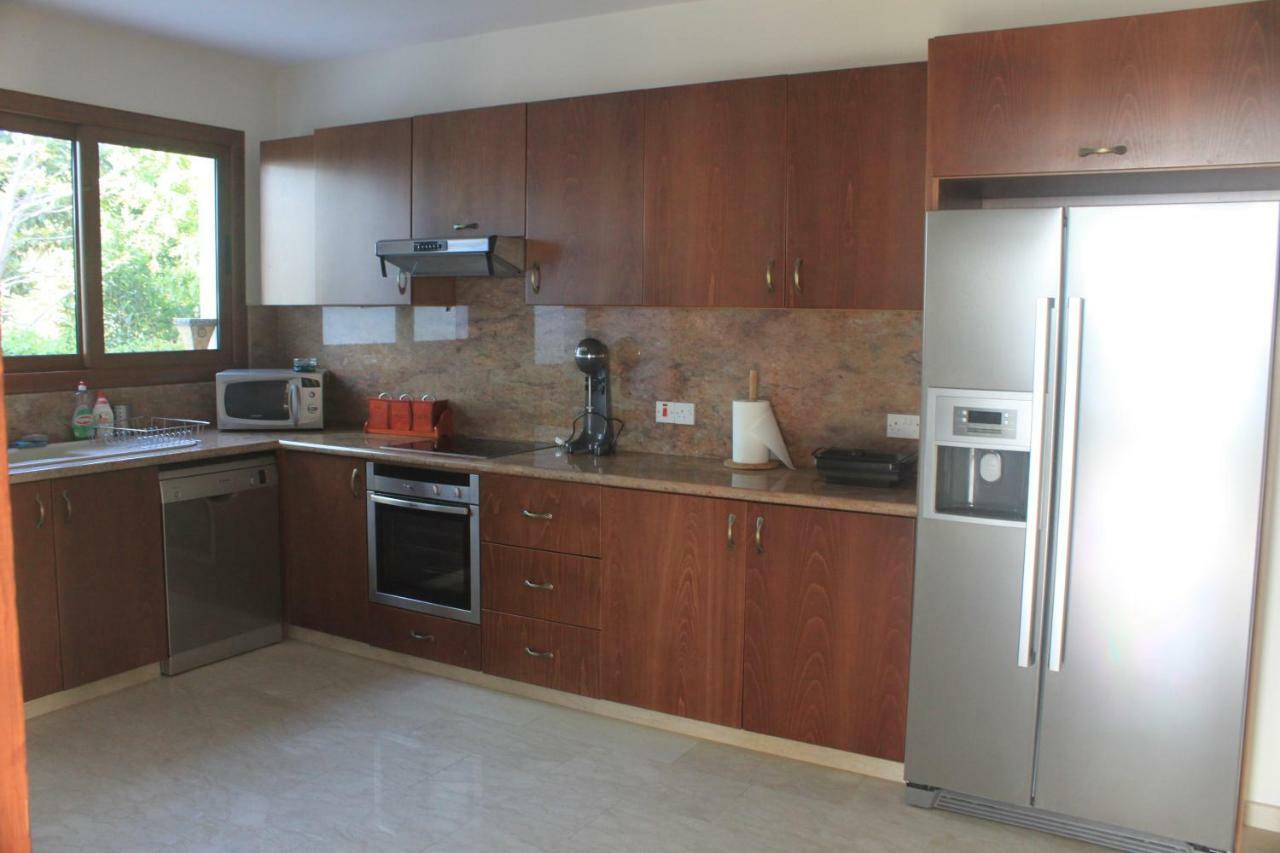 Martika Luxury Villa Agia Marina  外观 照片